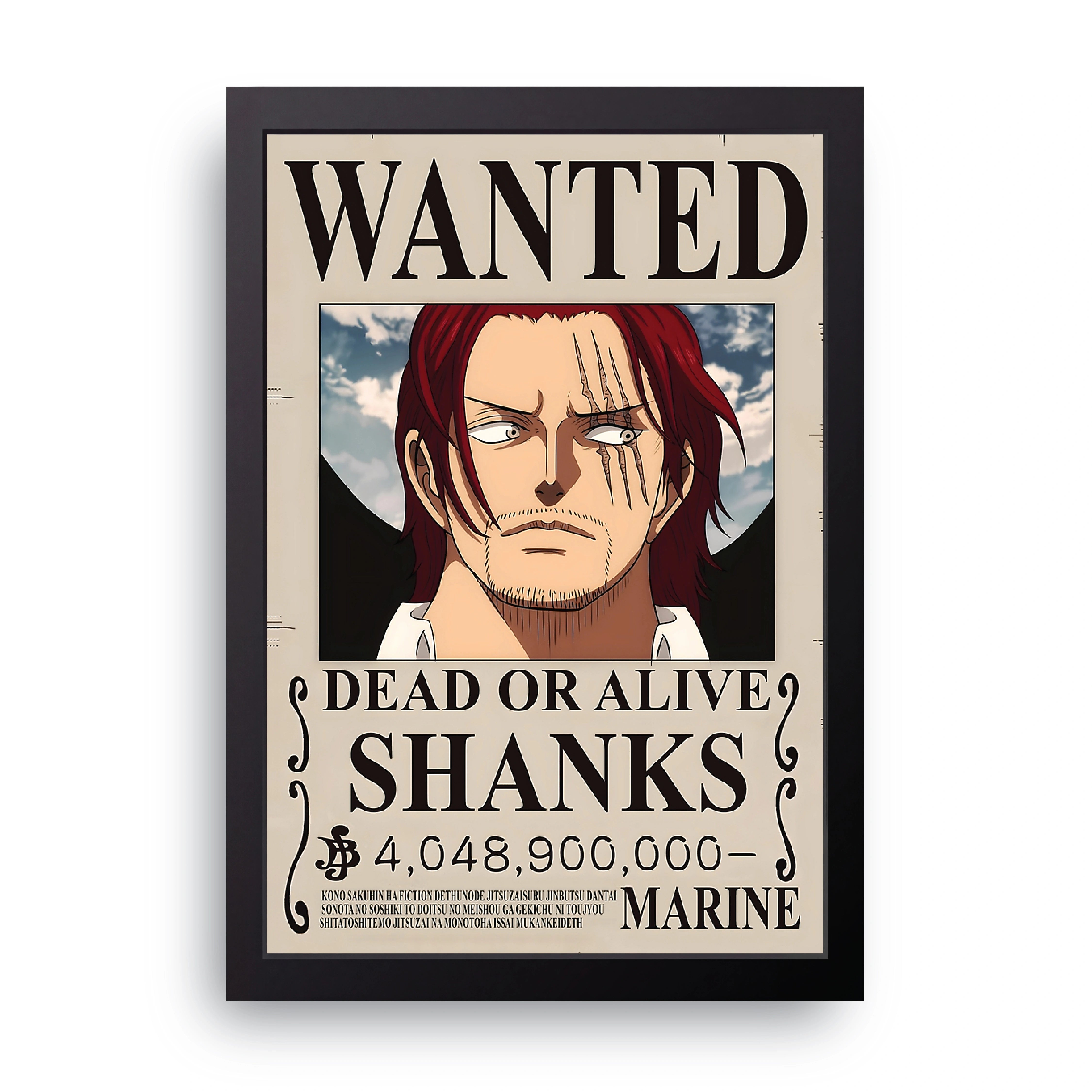 ONE PIECE (21) FRAME