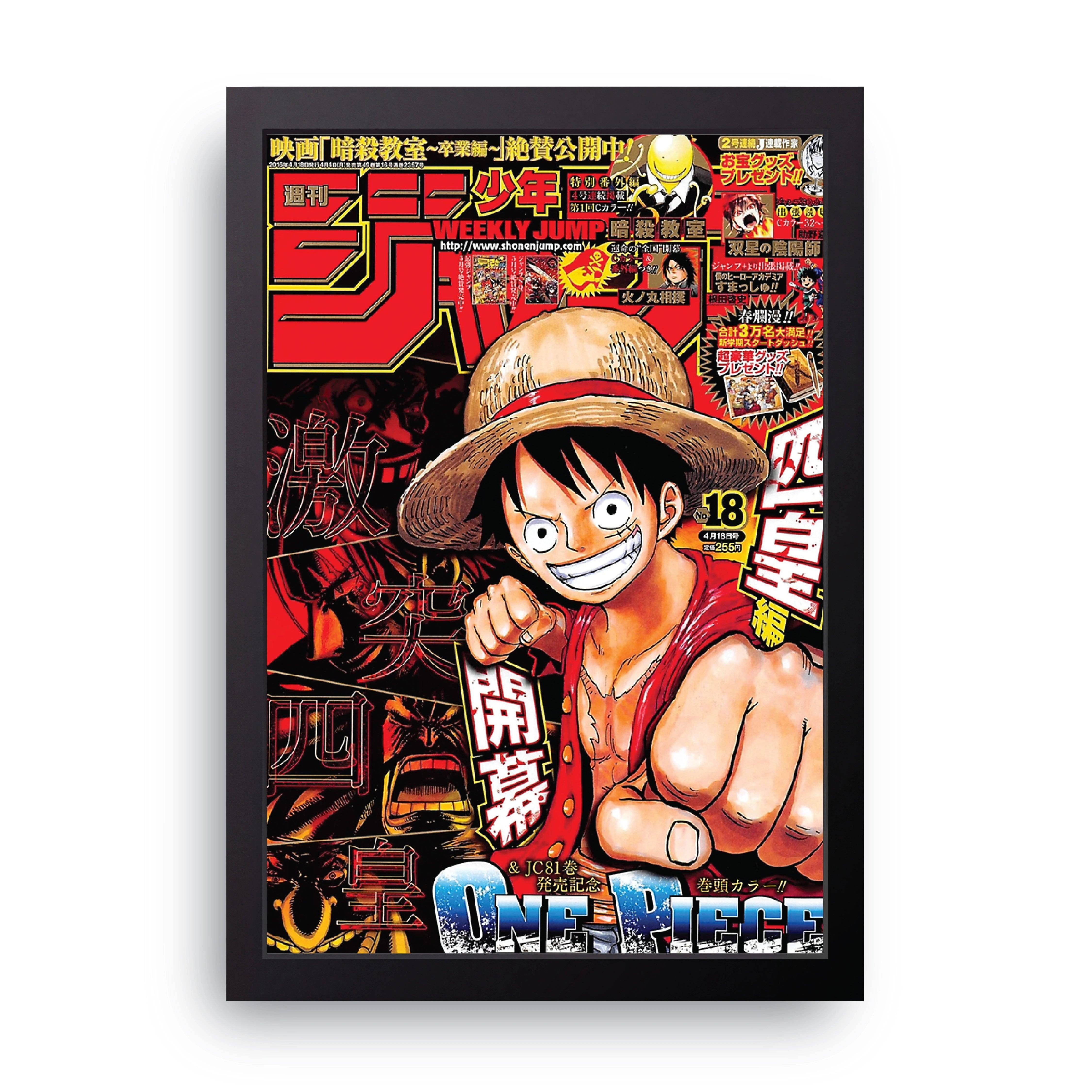 ONE PIECE (6) FRAME