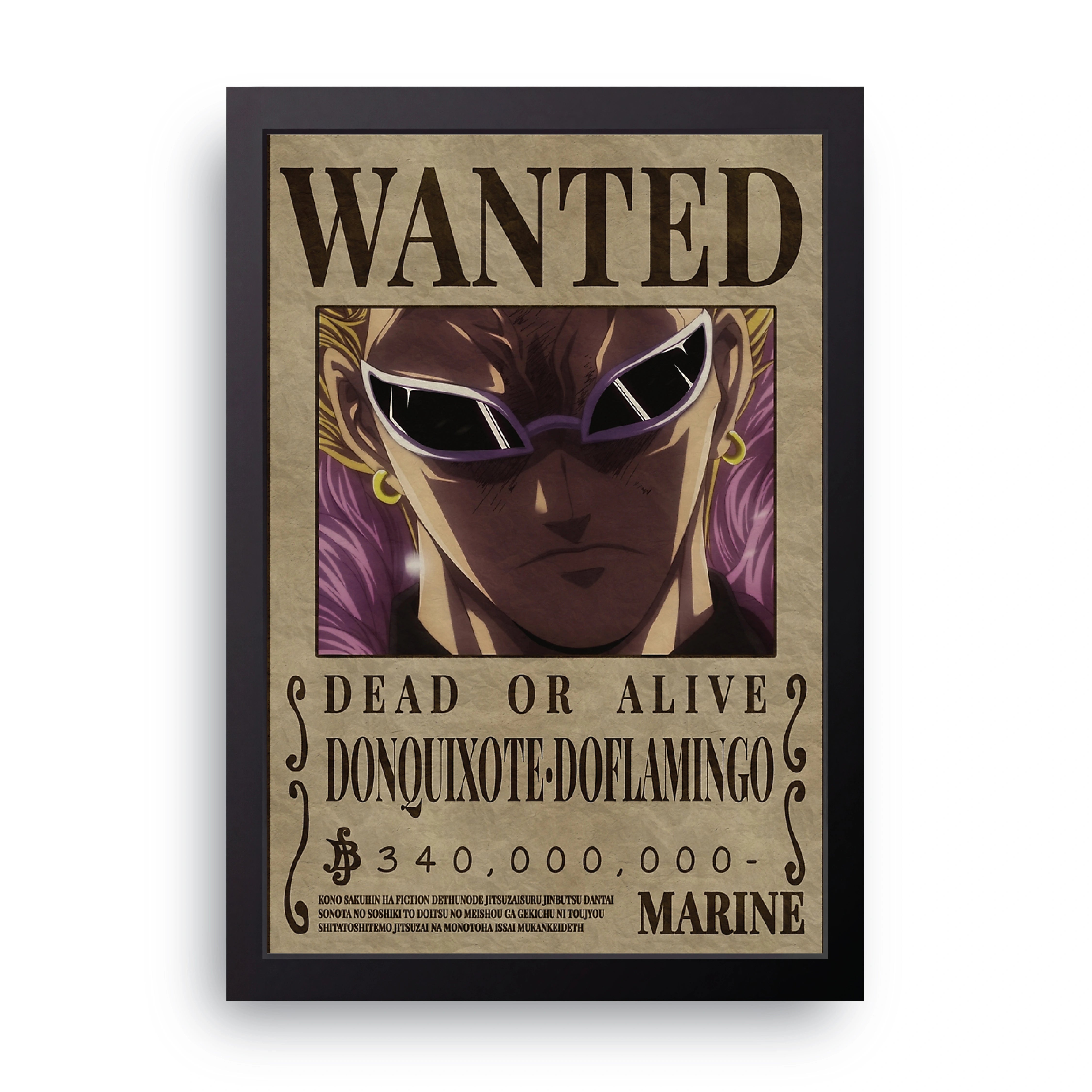 ONE PIECE (10) FRAME
