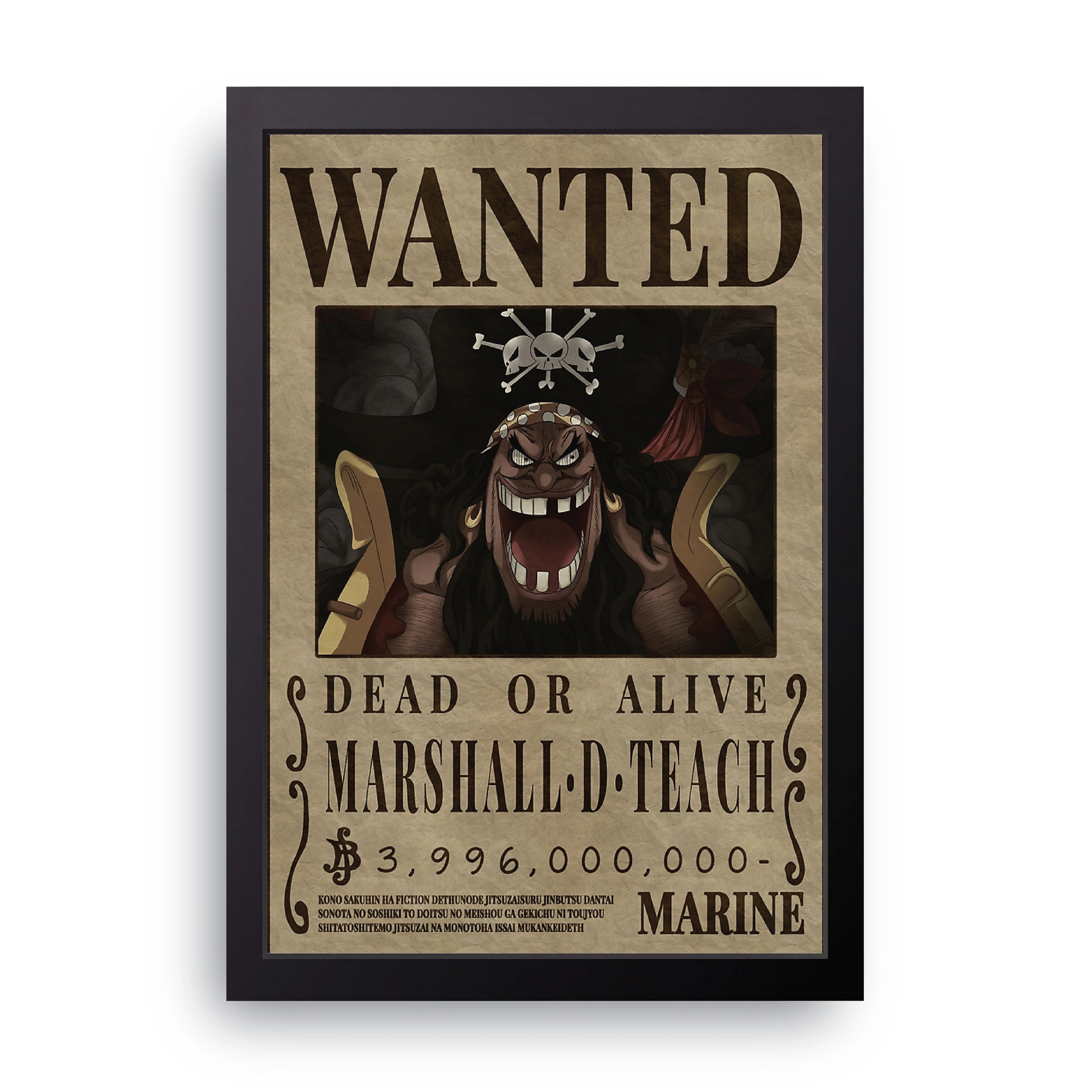 ONE PIECE (14) FRAME