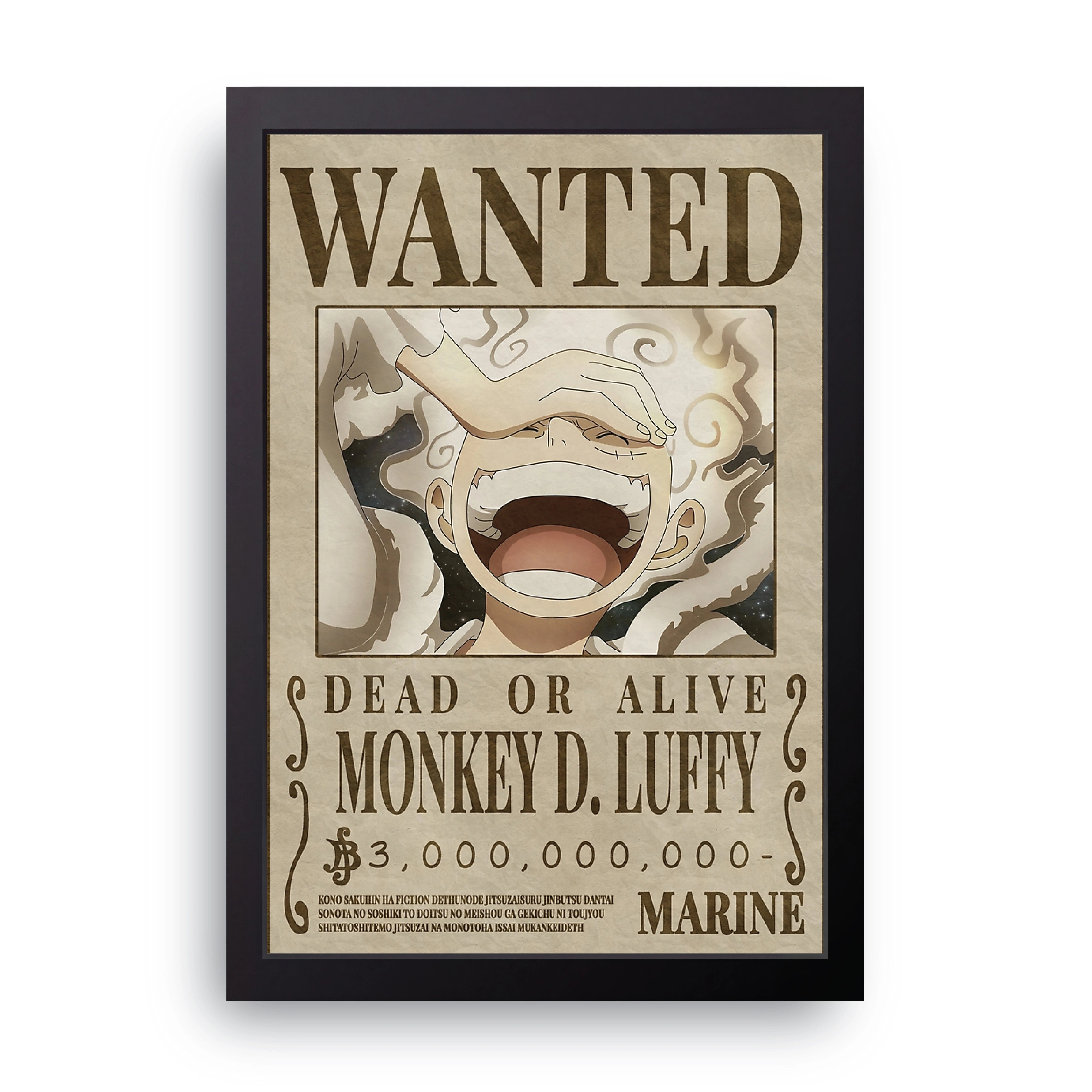 ONE PIECE (24) FRAME