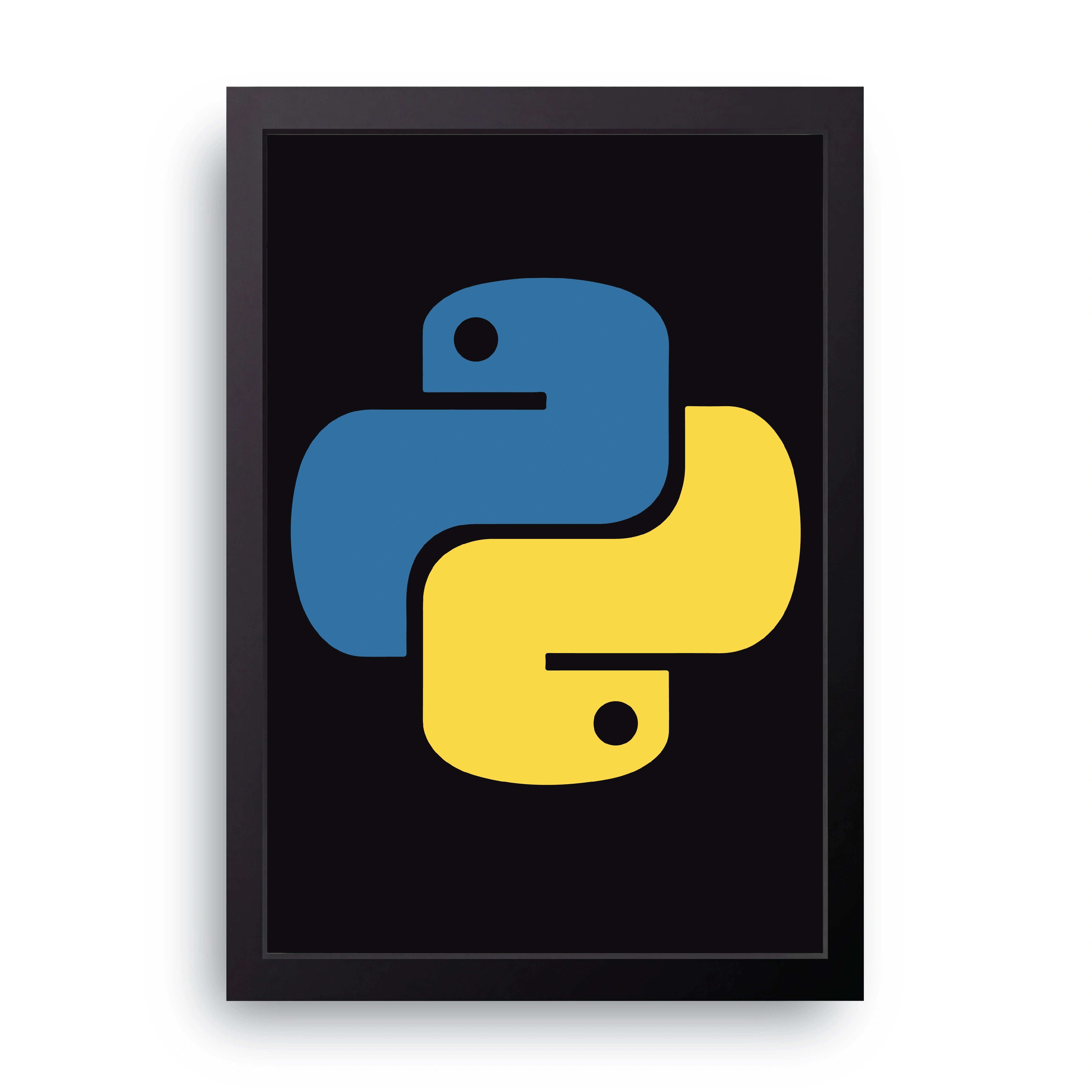 Python Logo FRAME