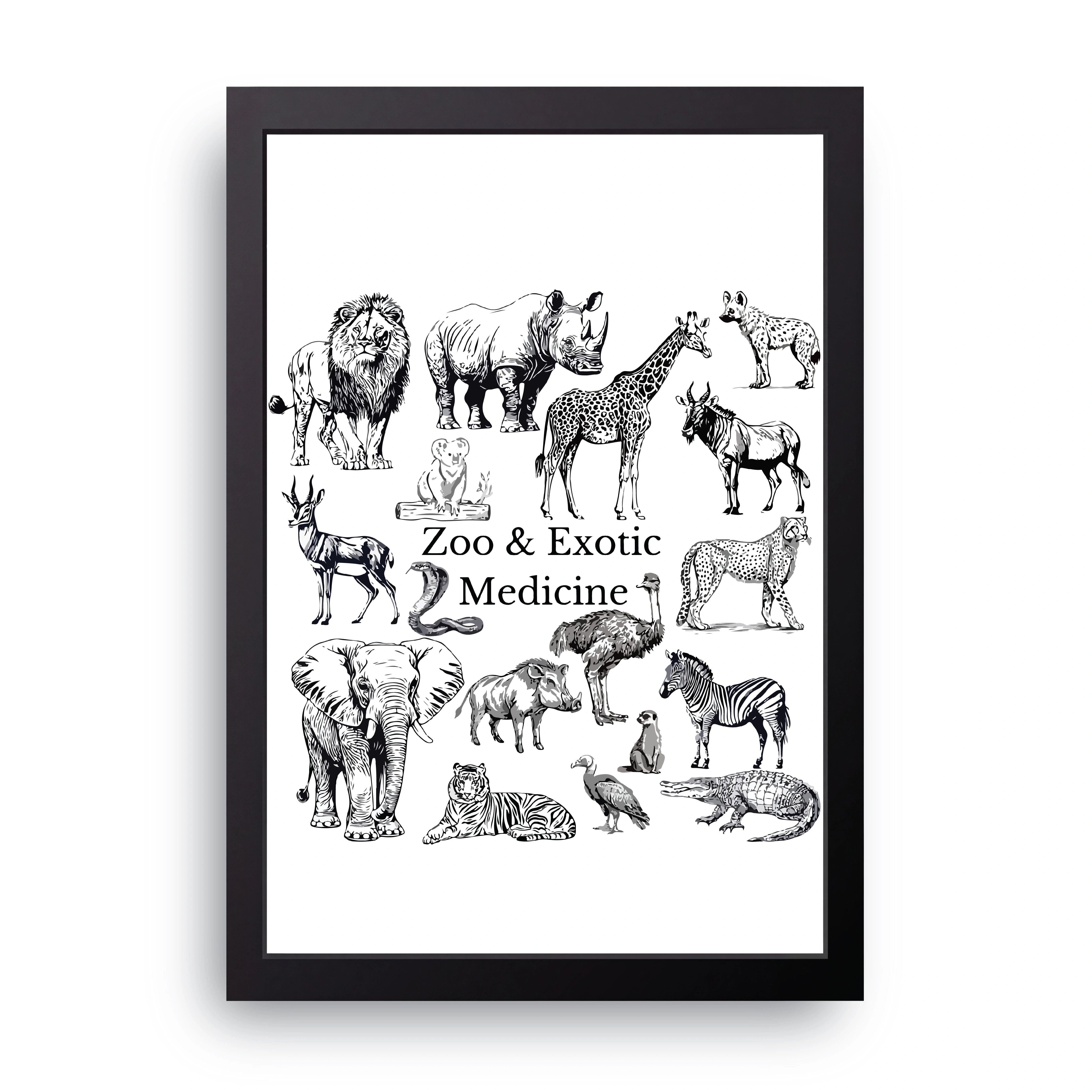 Zoo Medicine FRAME