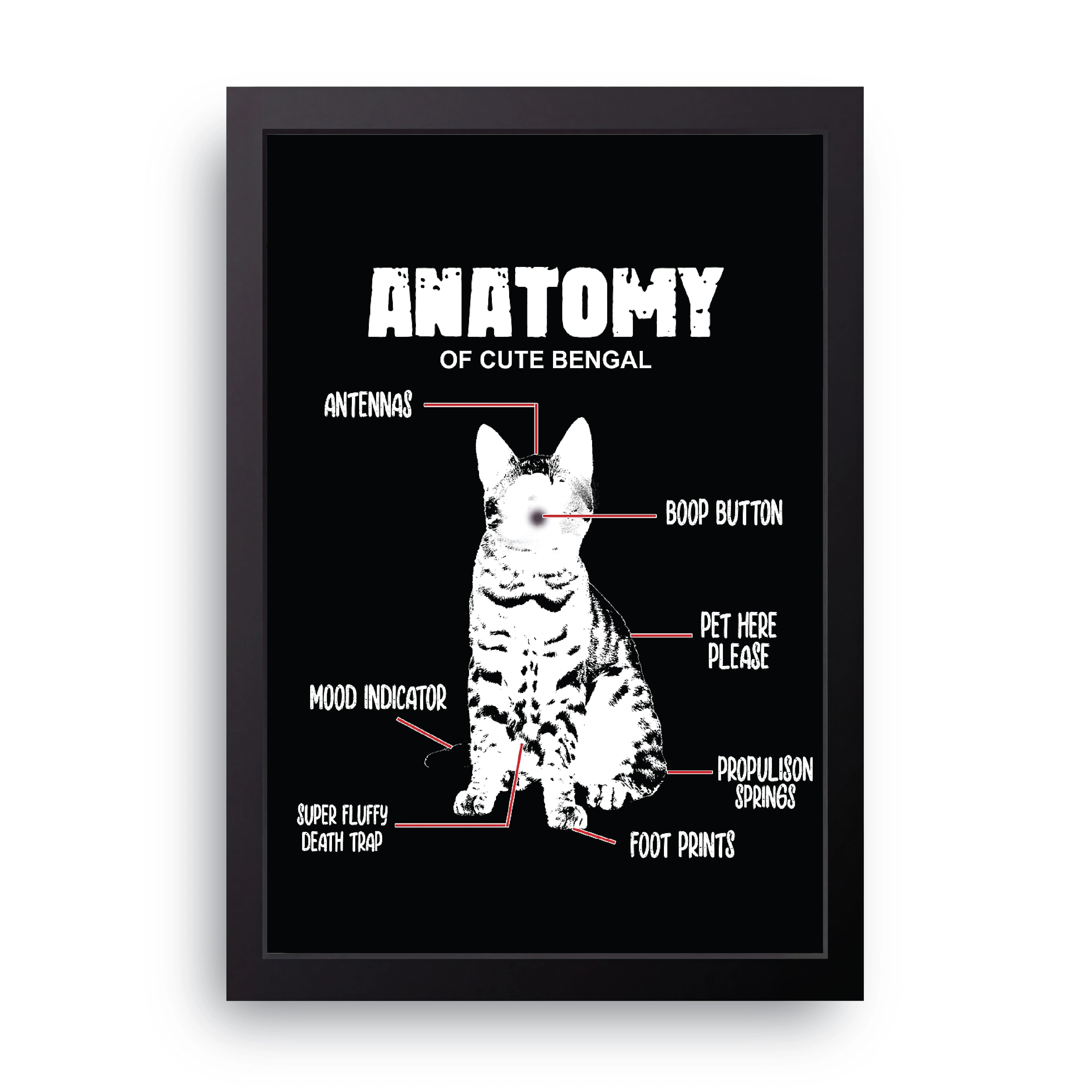 Bengal Anatomy FRAME