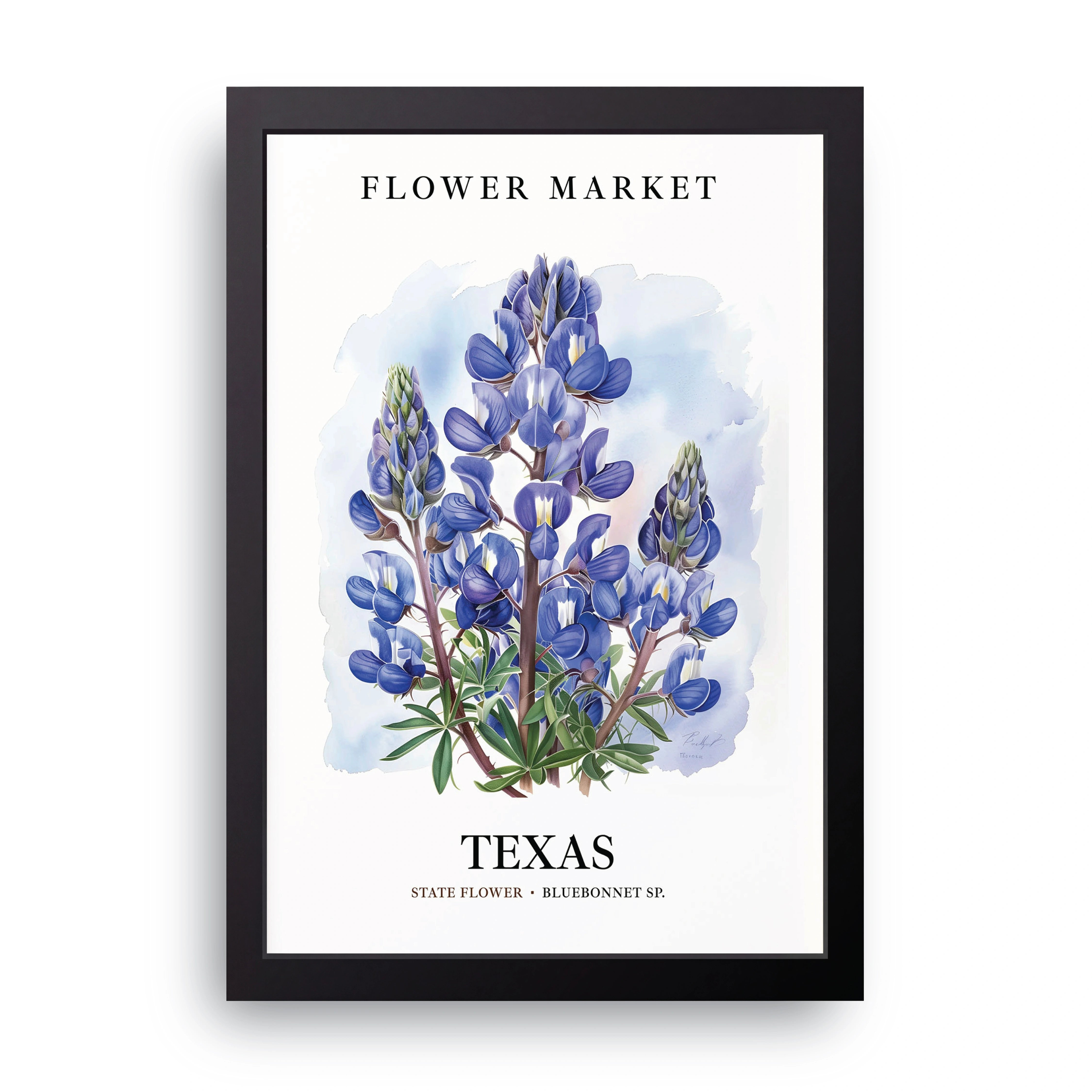 Texas Flower Market FRAME