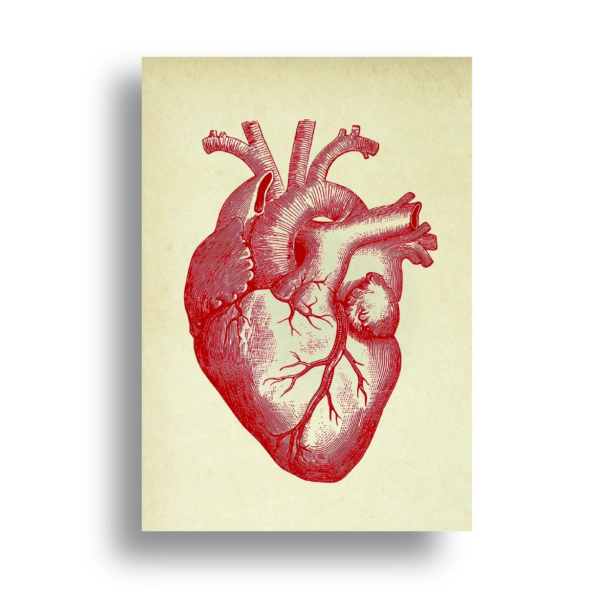 350gsm paper print