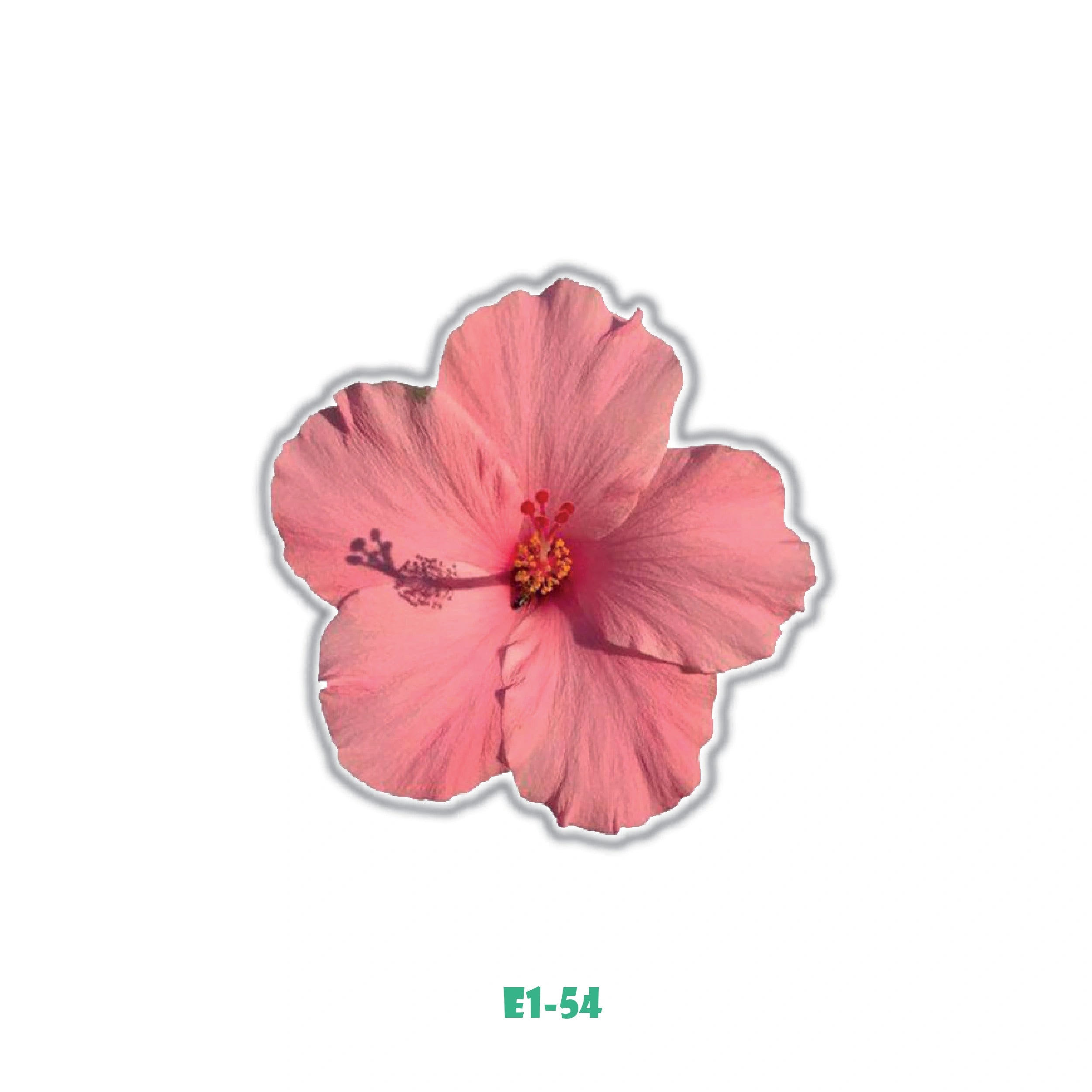PINK FLOWER