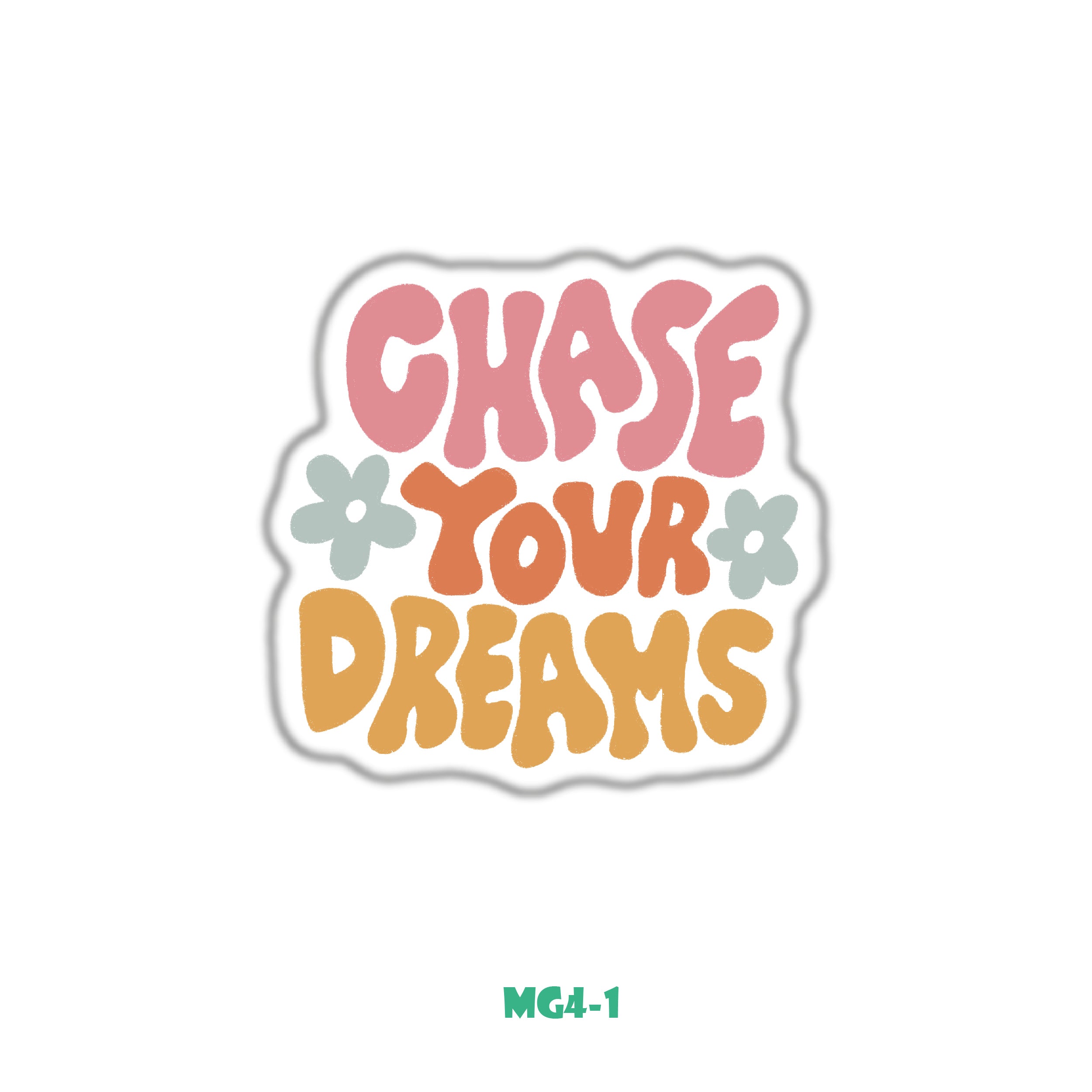 CHASE YOUR DREAMS