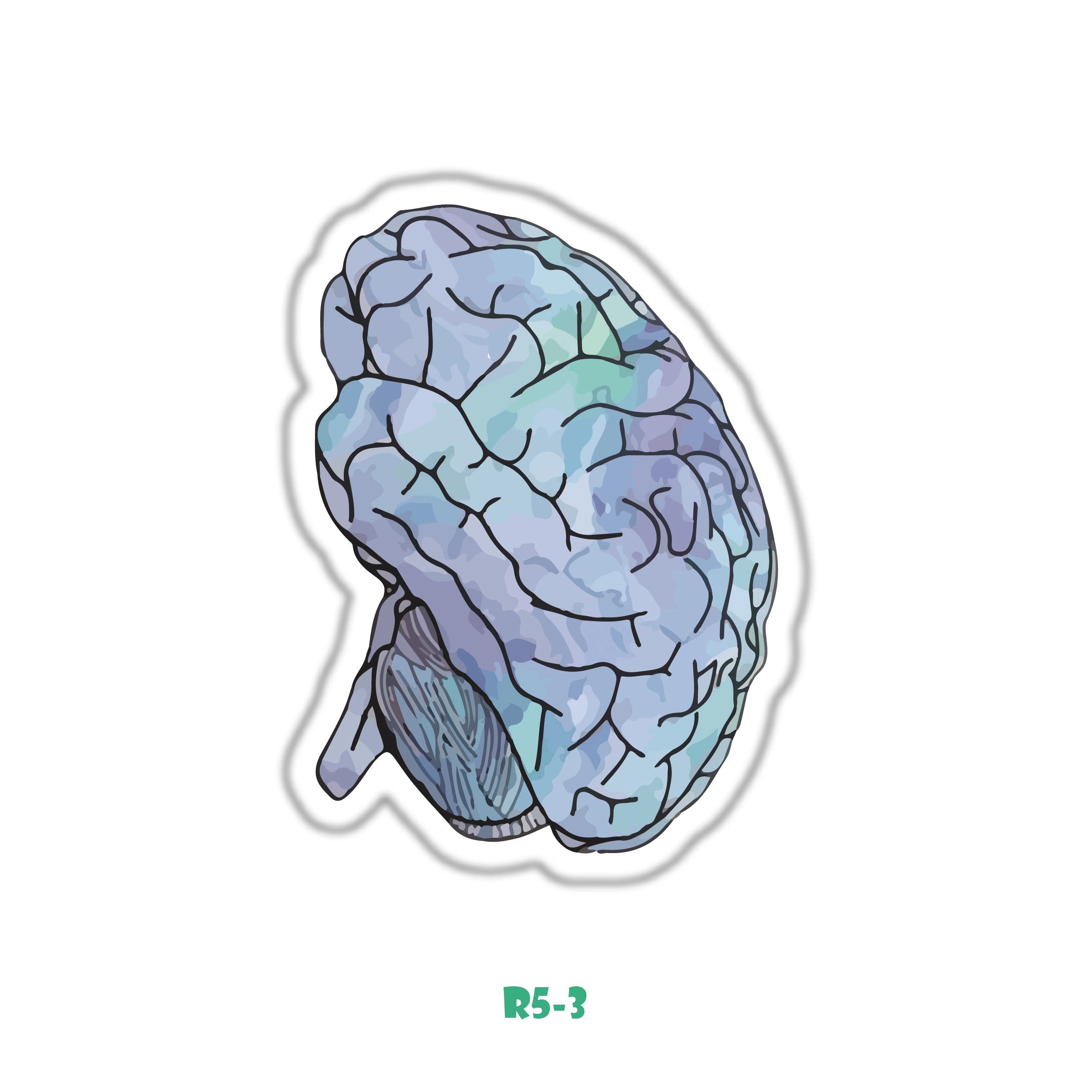 BRAIN