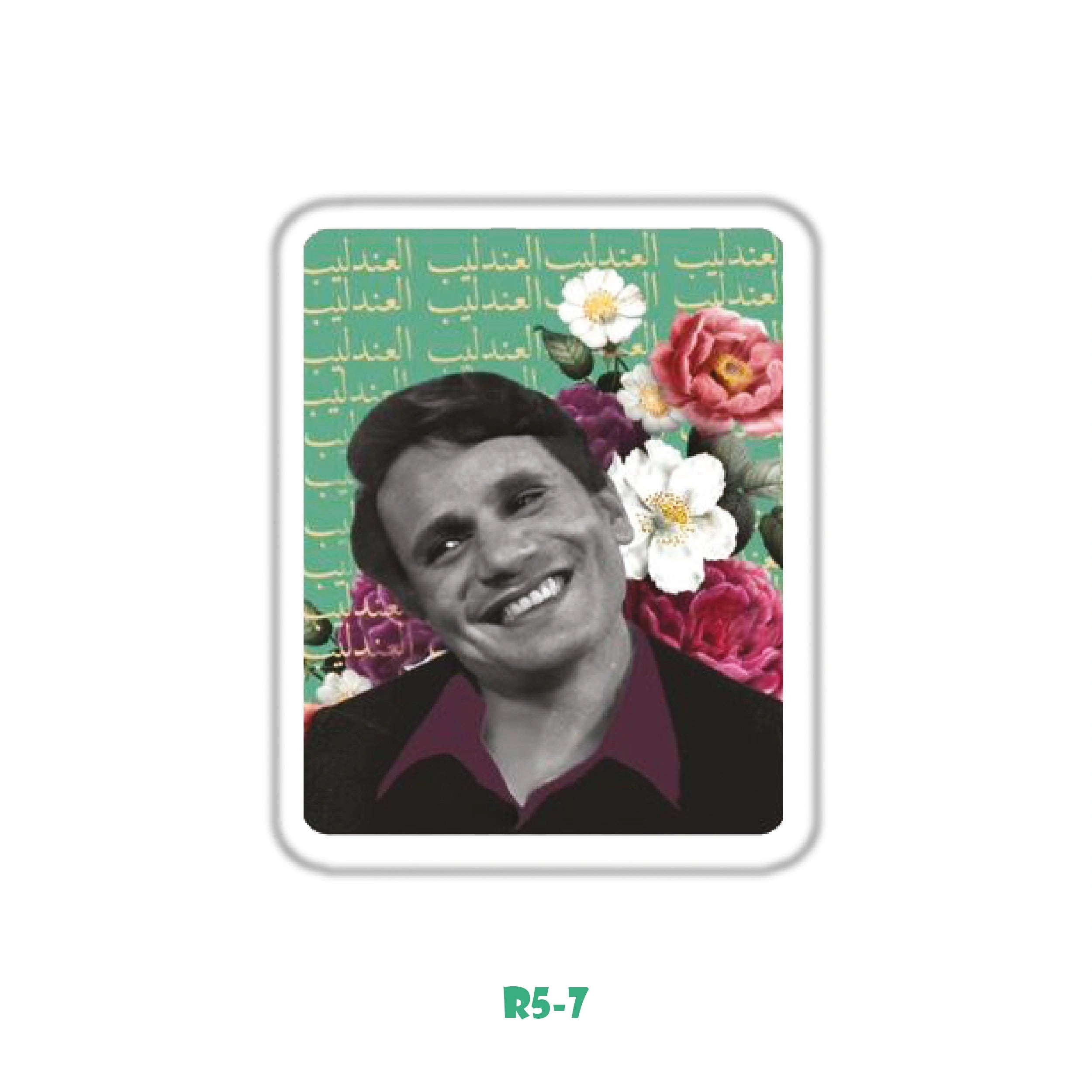ABD EL HALEEM