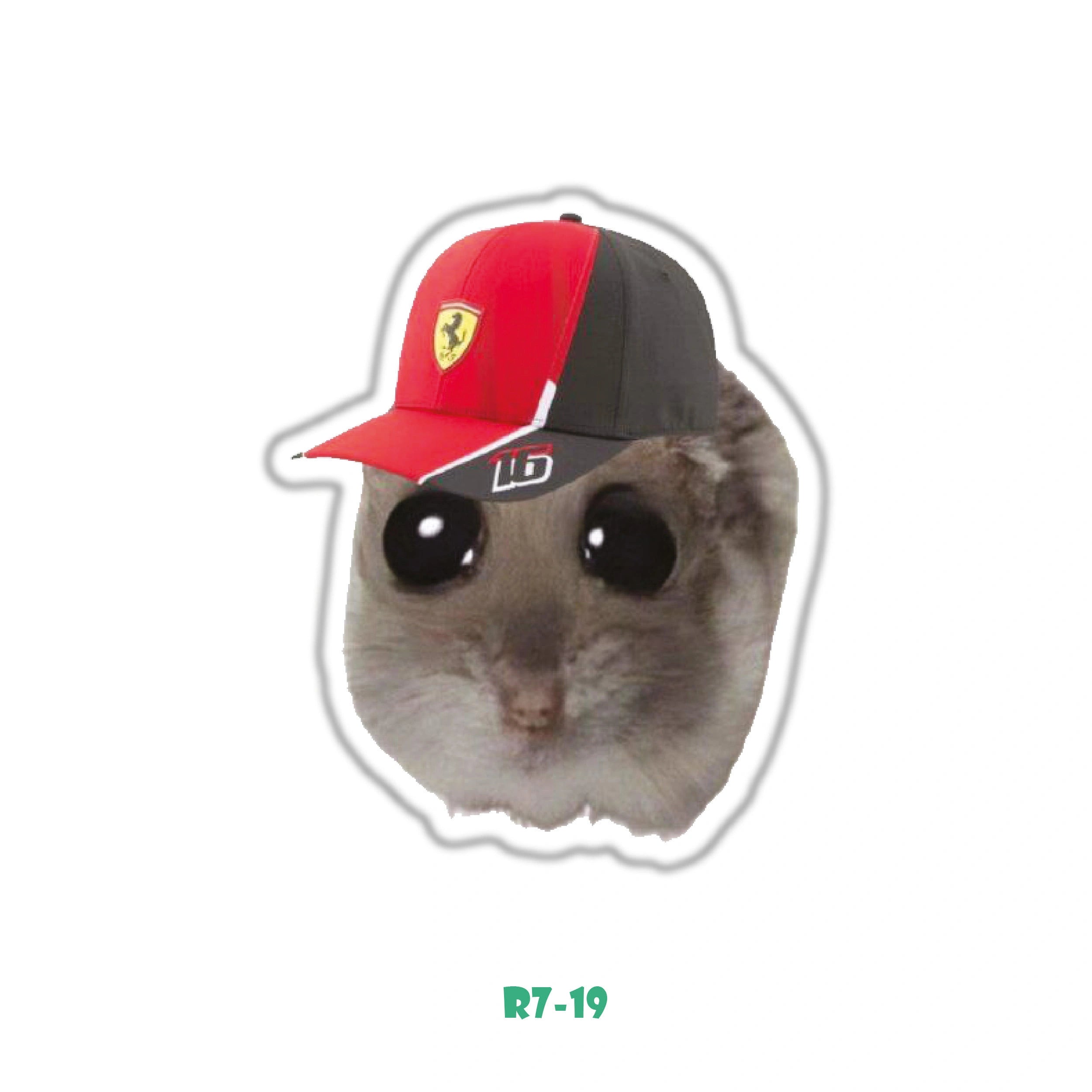 FERRARI HAMSTER MEME