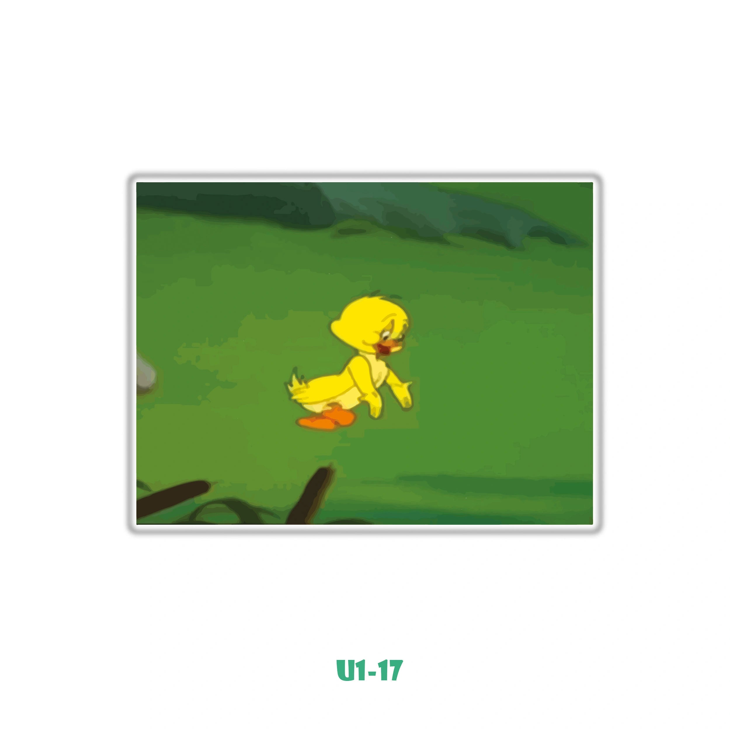 LITTLE QUACKER