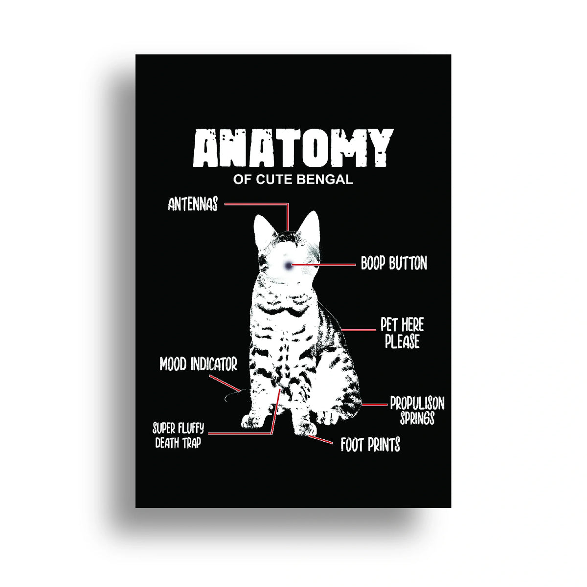 350gsm paper print
