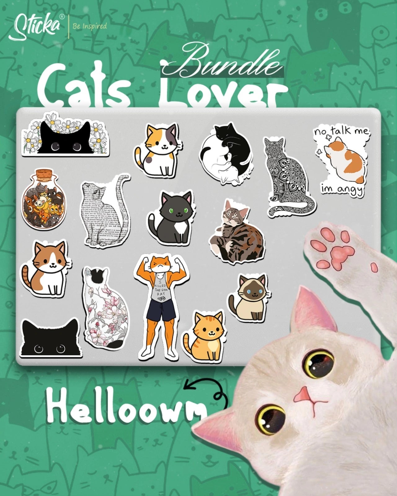 CATS LOVER BUNDLE